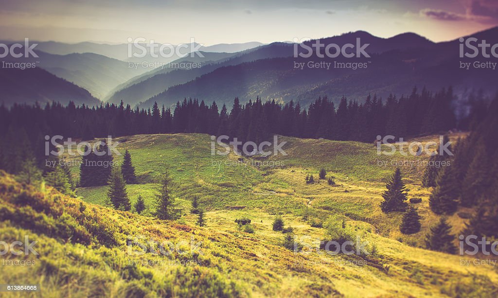 image alt text